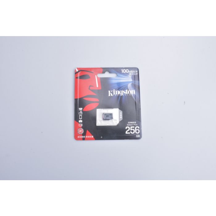 SDCS2-256G