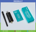 ZBDongle-P