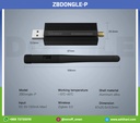 ZBDongle-P