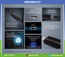 ZBDongle-P