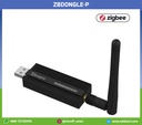 ZBDongle-P
