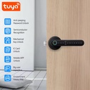 Tuya Smart Bluetooth Fingerprint + IC Card Door Lock PST-C6-11