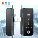 WIFI 3D Face Glass Door Lock with Screen Model PST-R400G (A,C)