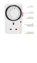 Segment Timer Plug