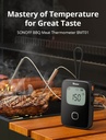 BBQ Meat Thermometer - BMT01