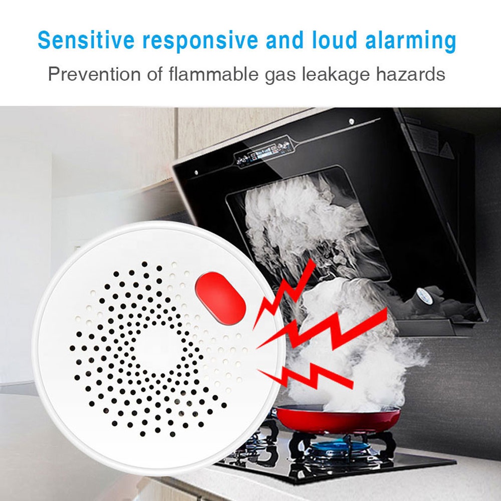 Gas Sensor Detector PST-RQ400A