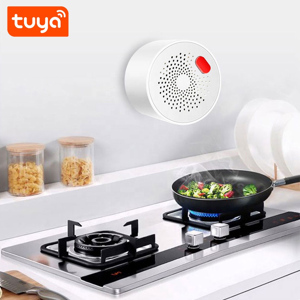 Gas Sensor Detector PST-RQ400A