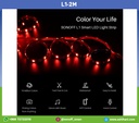 L1-2M