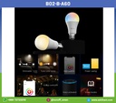 B02-B-A60
