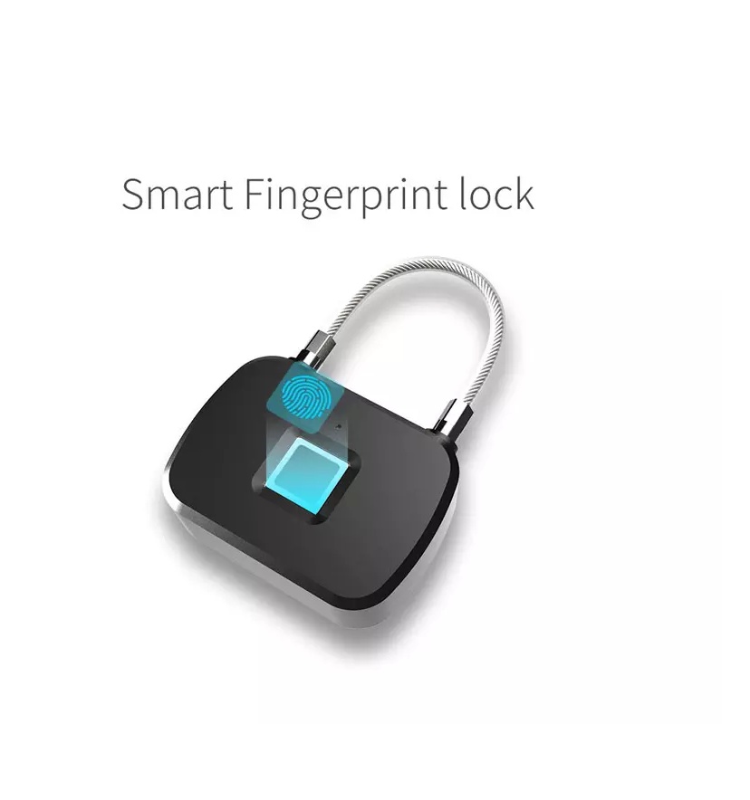 Mini biometric fingerprint padlock