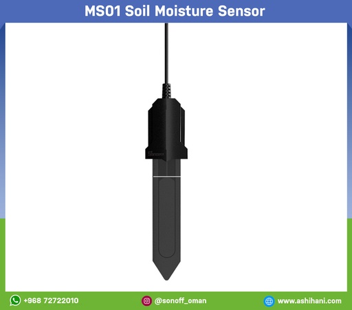 MS01